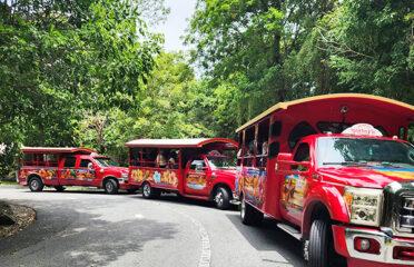 Safari taxi on a tropical road in St. John USVI