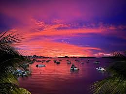 Vibrant pink and purple sunset over St. John harbor with boats silhouetted on calm water