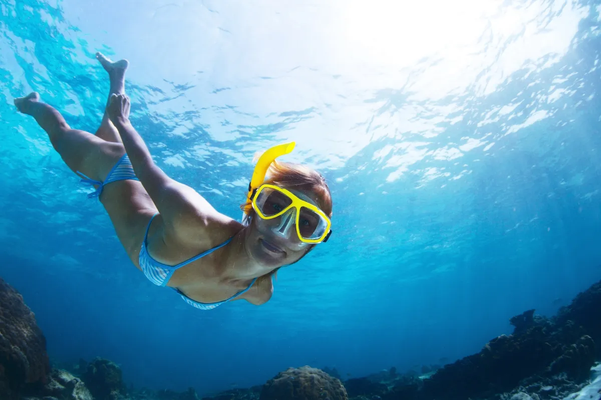 St. Thomas Half-Day Snorkel Adventure with Open Bar - Snorkeling charter departing from Margaritaville Vacation Club, St. Thomas, US Virgin Islands | 2.5 Hours, up to 40 guests