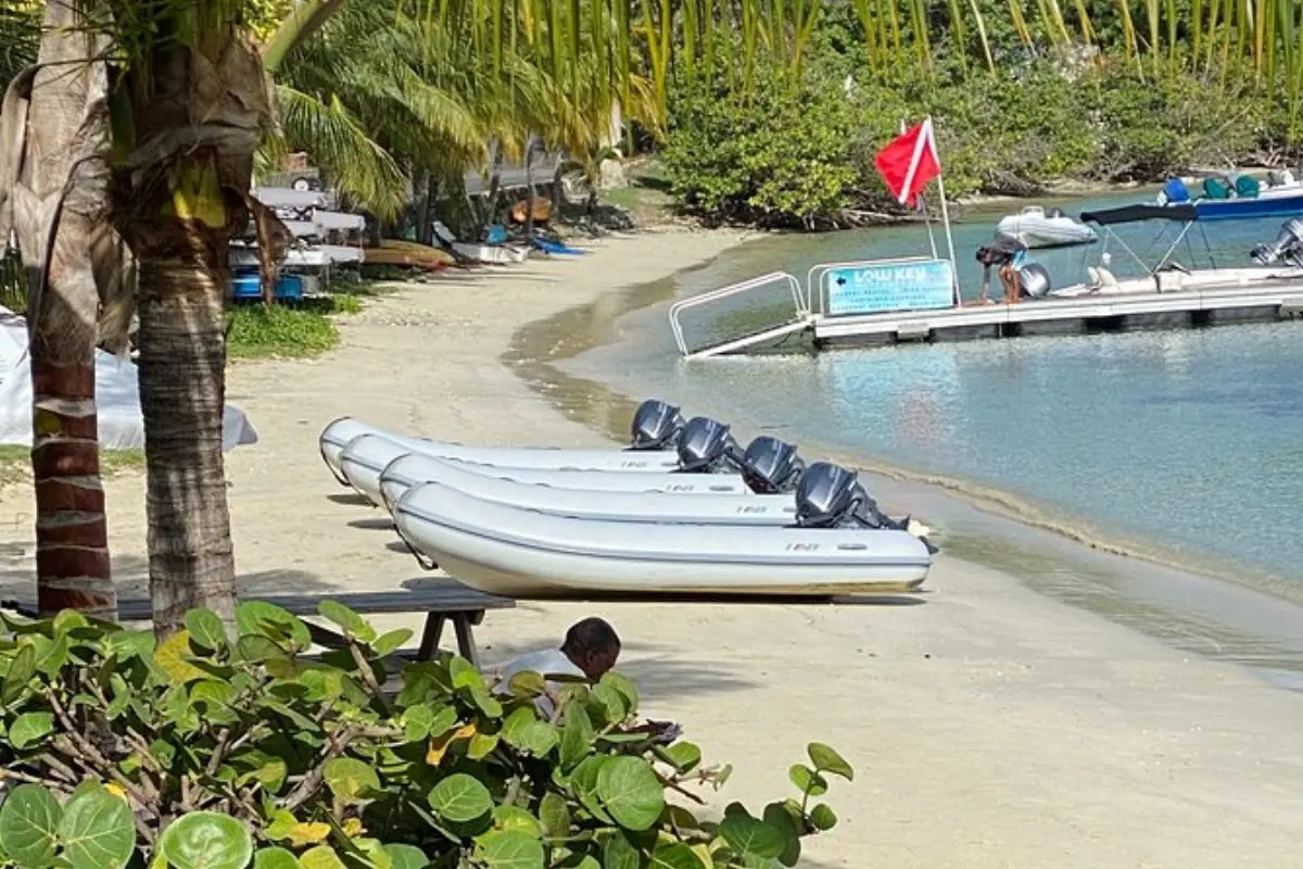 Inflatable dinghy rentals lined up on a sandy beach with palm trees and a dock in St. John, USVI