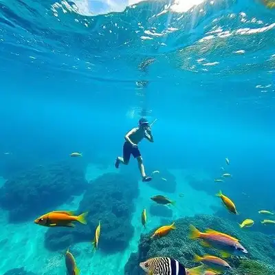 Snorkeling in crystal-clear turquoise waters off St. John, US Virgin Islands